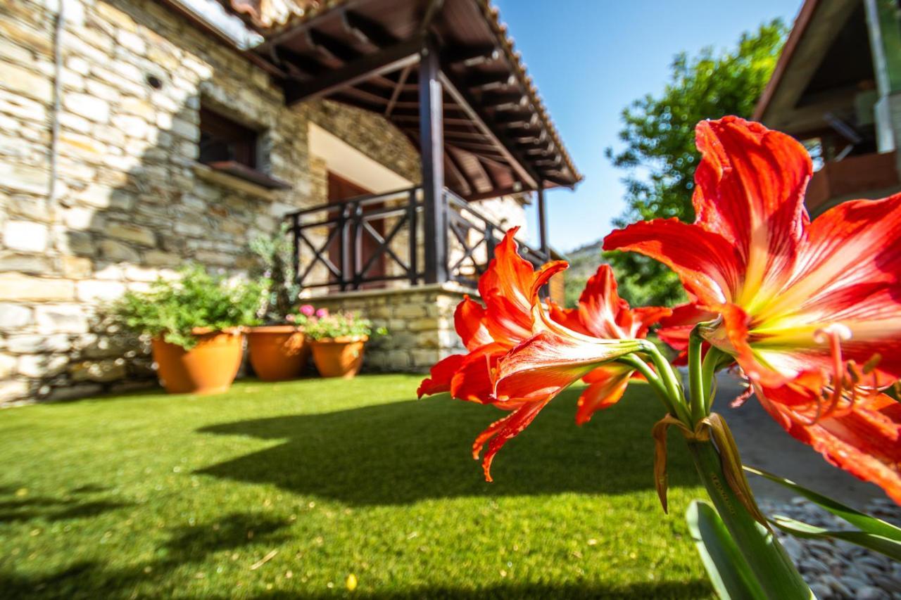 Lefkara Villa Κάτω Λεύκαρα Εξωτερικό φωτογραφία